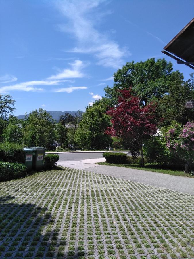 Apartments Kapus Center Μπλεντ Εξωτερικό φωτογραφία