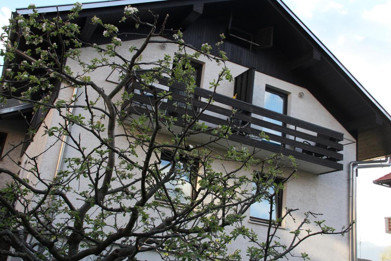 Apartments Kapus Center Μπλεντ Εξωτερικό φωτογραφία