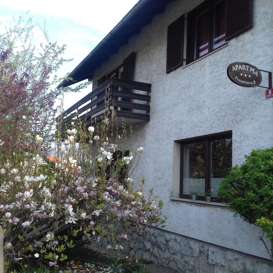 Apartments Kapus Center Μπλεντ Εξωτερικό φωτογραφία